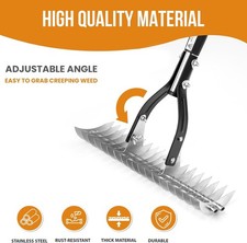 Heavy Duty Thatch Rake Lawn