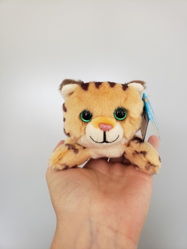 Russ petooties pets bengal cat - petooties,
