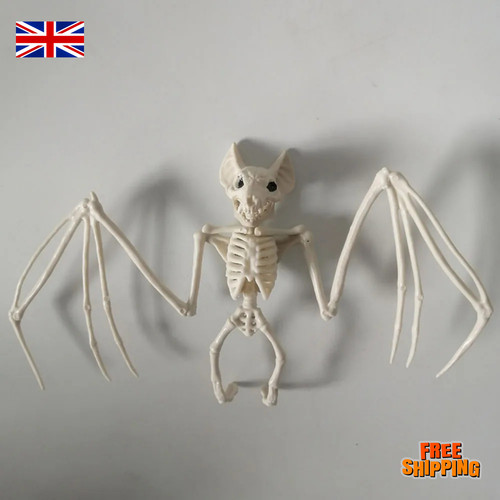 Halloween bat skeleton - bat,