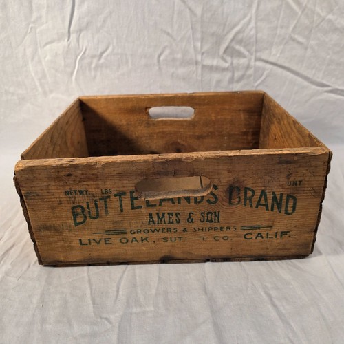 Vintage buttelands brand ames - brand,