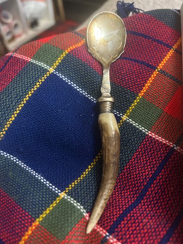 Antique horn handel spoon - antique,