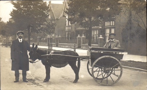 Skegness photo donkey cart by - photo.,