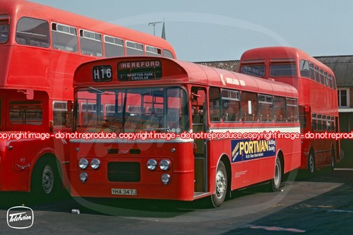 Bus photo midland - photo, nbc