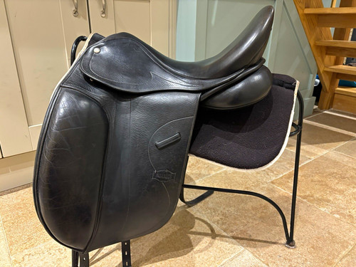 Gfs monarch dressage - monarch,