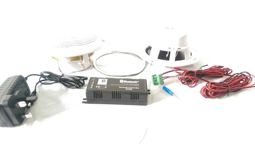 Bluetooth stereo ceiling