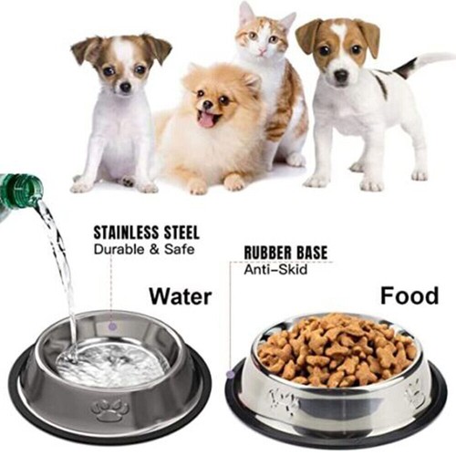 Knootit stainless steel - steel, dog