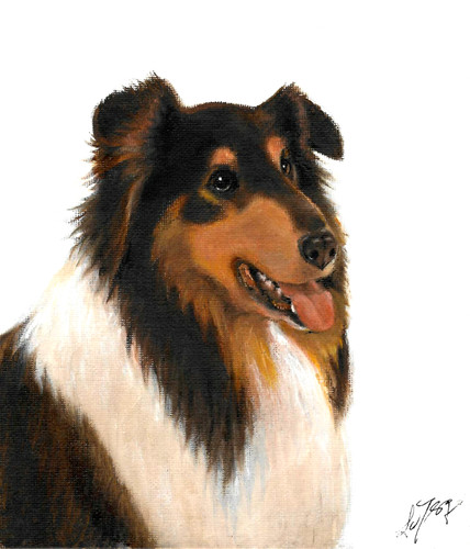 Original oil dog portrait - ✤,