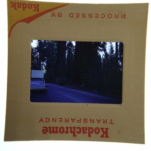 1966 kodachrome 35mm slide - kodachrome,