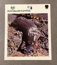 1975 Vintage Wildlife Treasury