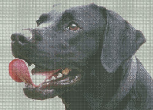 Cross stitch pattern - cross,