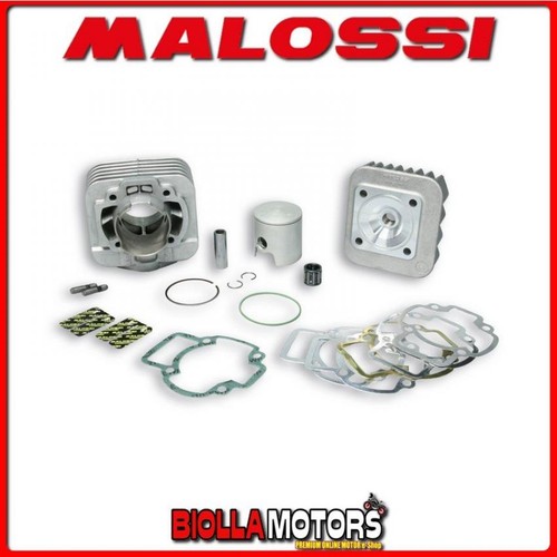 318398 thermal group - 318398, malossi