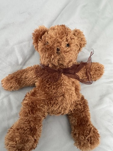 Small brown teddy bear - teddy,