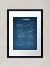 Starfury Space Fighter Framed