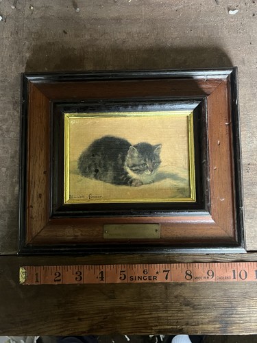 Pretty kitten print - pretty, kitten”
