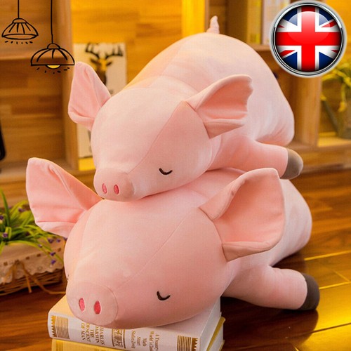 Kids big cute pig - cute,