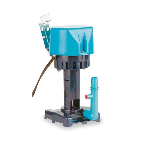 Little giant 542005 - giant,
