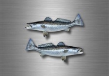2x sticker vinyl fish boat