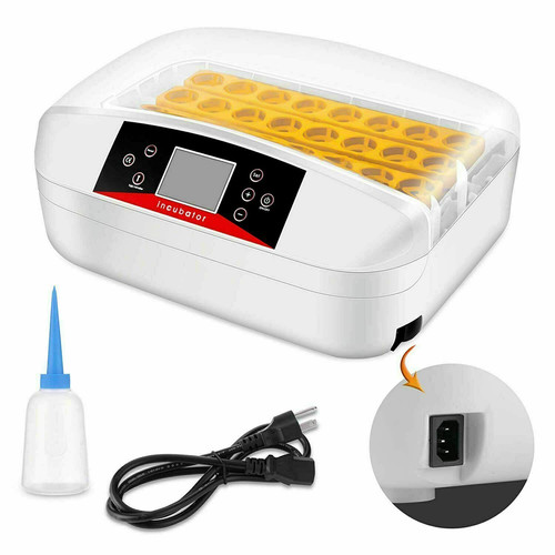 Digital egg incubator - digital, hatcher