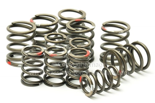 Valve spring set triumph - spring, set,