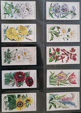 W.D. & H.O. Wills Old English