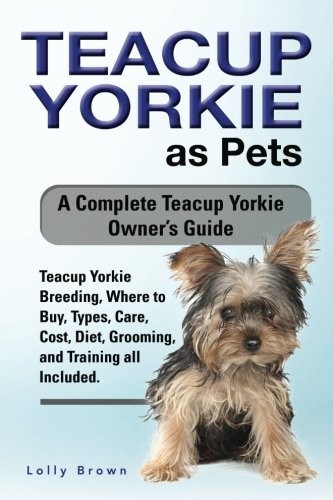 Teacup yorkie as pets - yorkie,