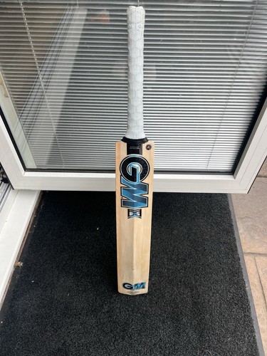 Kashmir willow cricket - willow,