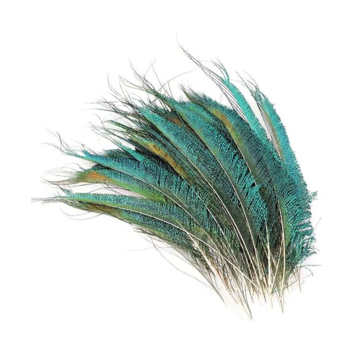 10x natural peacock tail - 10x,