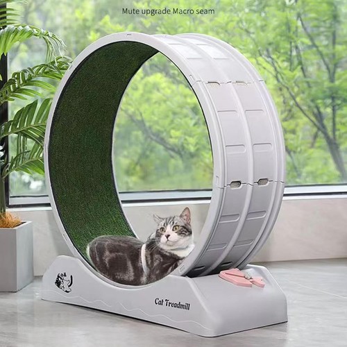 Cat exercise wheel large - exercise,