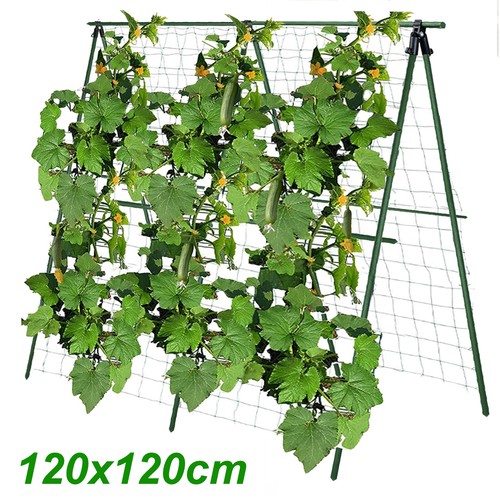 Garden trellis for cucumbers - garden,