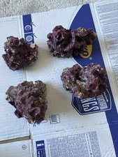 RK1 - 4 Pieces Of Real Reef