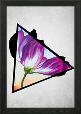 Twisted Tulip Triangle Framed