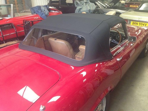 Jaguar type series - 3,