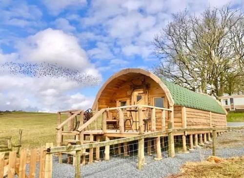 Glamping pod summer house - summer,