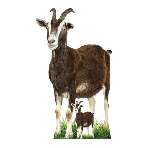 Goat cardboard cutout farm - cardboard,