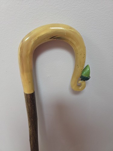 Genuine shepherds crook acorn