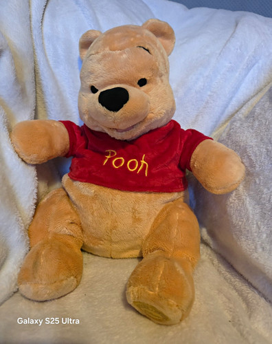 Disney store winnie the - disney,