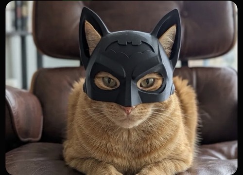 Batman mask for - batman,