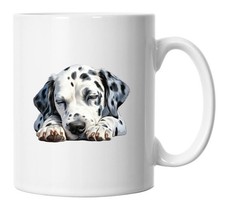Dalmatian Mug Sleeping Laying