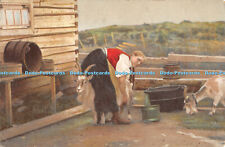 R479507 Woman Milk the Goat Mittet No 9