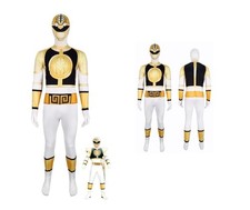 Mighty Morphin Power Ranger
