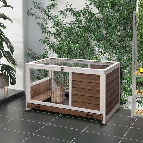 Rabbit hutch indoor - hutch,