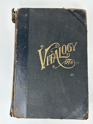 Vitalogy antique 1921 - antique,