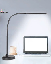 A LOOPITYS LED Desk Lamp