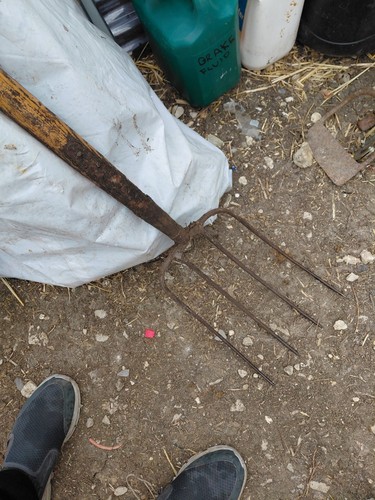 Vintage manure fork pitch hay - pitch,