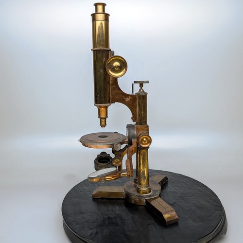 Bausch lomb professional - lomb,