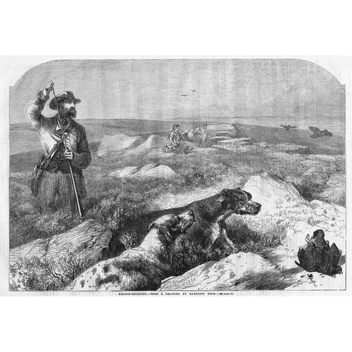 Grouse shooting harrison - shooting, by