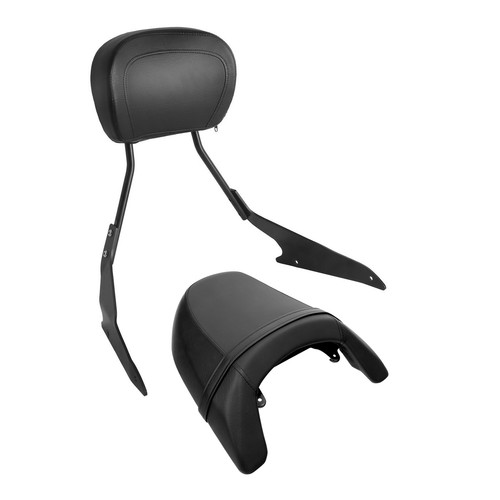 Passenger seat sissy bar - passenger, &