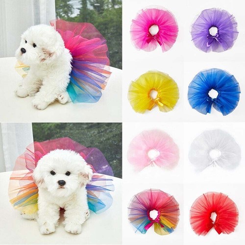 Small pet dog cat - small,