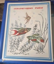 Vintage Matchbox USSR Russia Fish Set With Original Display Case And Matches