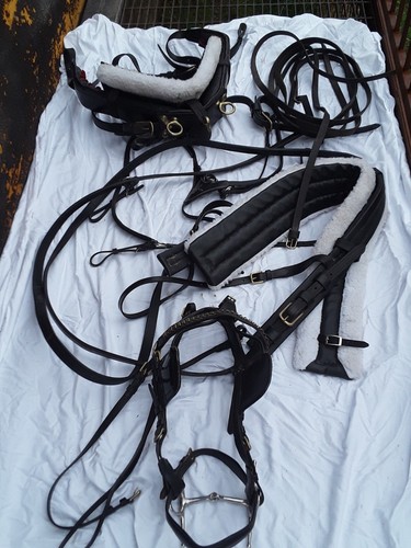 Cob horse harness brand tough - cob,